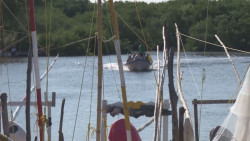 Proponen crear a nivel federal la Secretaría de Pesca