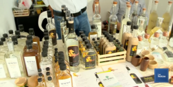 Con éxito se realizó el Festival Internacional del Bacanora