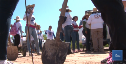 Madres Buscadoras encuentran tres cuerpos en Hermosillo; suman 76 en seis meses