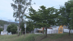 Lámpara ladeada se apoya con un árbol