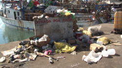 Mal servicio de recolección de basura