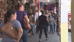 Se deben comparar los precios de productos