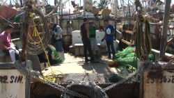 Armadores quieren vender sus barcos, pero no hay quien los compre