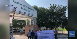 De estallar la huelga se afectarían ocho proyectos de investigación en el Valle del Yaqui