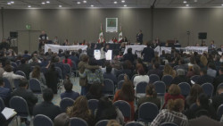 Acusan de traidores a Diputados federales de Morena por Sinaloa ante recortes al campo