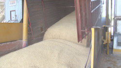 Recortes al Presupuesto provocarán un aumento en la importación de granos