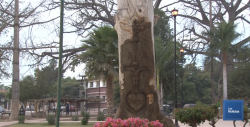 En análisis propuesta con proyecto ejecutivo de Cócorit de Tesoro de Sonora