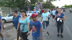 Realizan caminata ANSPAC