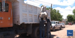 Gracias a acciones conjuntas no se tiene dengue, zika y chikungunya