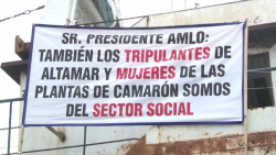 Pescadores exigen apoyo del Gobierno Federal