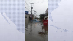 Deja lluvia 'caos' en El Toreo