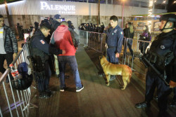 Buenos resultados en la Feria Ganadera