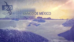 Características únicas tiene los nuevos billetes de $200 y $500