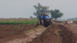 Piden organizaciones agrícolas reasignar mil millones de pesos en el presupuesto estatal