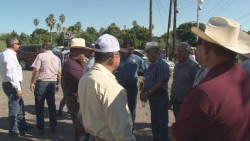 Hay mala interpretación de los productores agrícolas