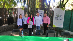Se unen para salvar vidas del cáncer