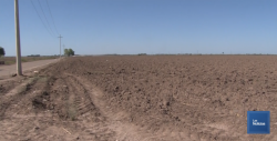 Siguen las acciones de riego en los cultivos del Valle del Yaqui