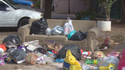 Ya esta regularizados el servicio de recolección de basura