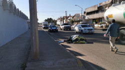 Equino desbocado provoca accidente