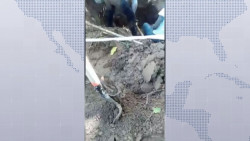 La CEDH también ha recibido mas denuncias por desaparición de personas