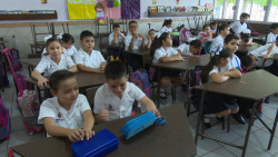 Nuevos planes de estudio para futuros profesores