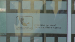 La CONAPESCA tendrá en 2020 el presupuesto mas bajo de la historia