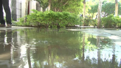 Surge fuga de agua en el Museo de Arte