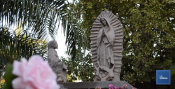Inician peregrinaciones a la Virgen de Guadalupe en Cócorit Sonora