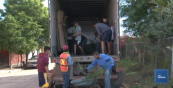 Eco Jóvenes por Sonora, recibieron 16 mil árboles