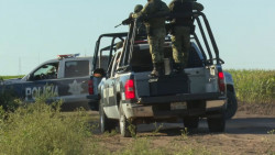 Hay 35 reportes de desaparecidos, no 43 y son de varios meses, no solo de noviembre