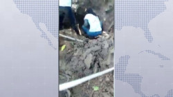 11 personas encontradas con vida en la zona norte