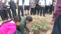 Llevan arborización y bolsas ecológicas al sur del estado