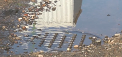 Aguas lamosas preocupa a vecinos de colonia Hogar del Pescador