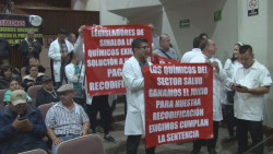 Se manifiestan químicos en el Congreso