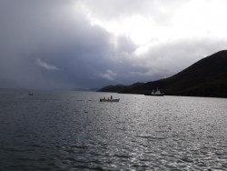 Esperan repunte en Topolobampo