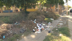 Descuidada área verde en Villa Bonita