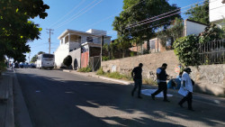 Atropellan a señora de la tercera edad y muere