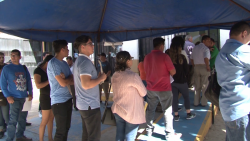 Largas filas en oficinas de vialidad
