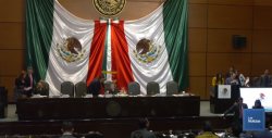 Acusa Munro Palacio de traición a Diputados de Morena