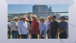Buscan que fraude a la producción agrícola sea tipificado como delito grave