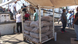 El 2019 la peor temporada de pesca en Mazatlán