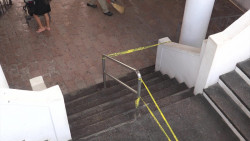 Le dan su 'manita de gato' al Palacio Municipal