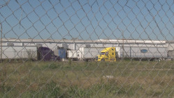 No están claros los esquemas de revisión de los embarques de tomate en frontera