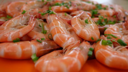 4 platillos que debes probar en Mazatlán