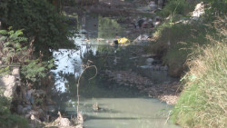 Muy mal las condiciones del arroyo en la Toledo Corro