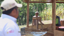 Contratan 110 Ingenieros Agrónomos para apoyar el programa Sembrando Vida en Sinaloa