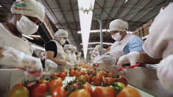 Se mantendrá estancada la economía nacional el 2020 por falta de crecimiento