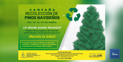 Invita Ecología a Depositar Pinos Navideños en Vivero de La Laguna Del Náinari