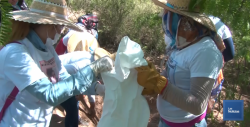Piden madres buscadoras de Sonora mayor seguridad luego de amenazas