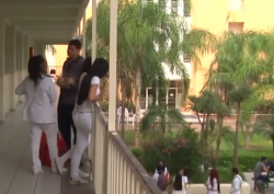 La UAS aún no puede ofrecer estudios gratuitos: Rector